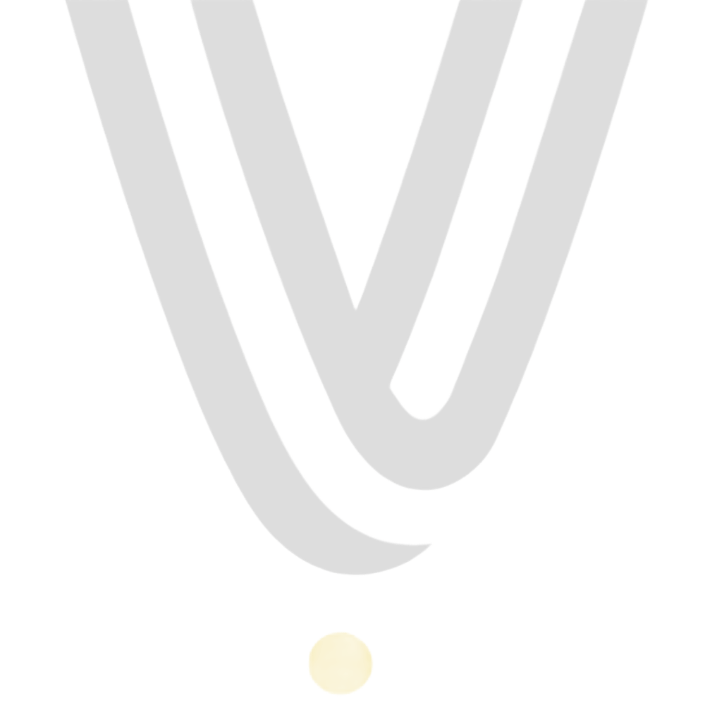 VSPORT.online